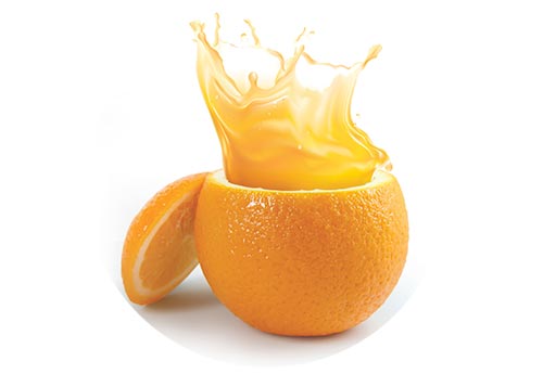 jus de fruits concentrés pour les professionnels hotelleries pas cher
