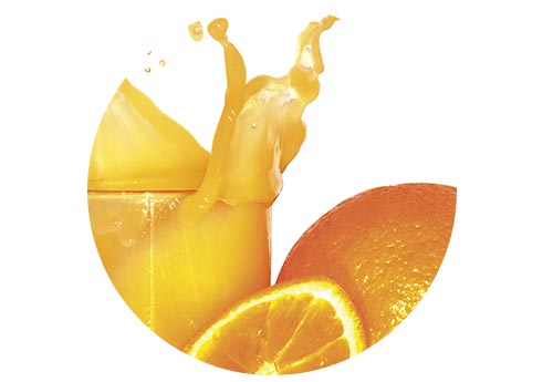 pur jus de fruit hotel professionnel